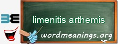 WordMeaning blackboard for limenitis arthemis